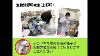 【農学部】上野 豊 准教授（生物資源研究室）2021オープンラボ動画