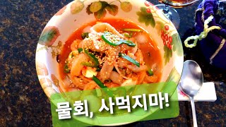 [낚시와 요리/Catch \u0026 Cook] 노래미 낚시와 시골맛 열무된장물회/Greenling Fishing and Mulhoe(Cold Raw Fish Soup) / K-Food