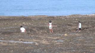 夏休みは家族そろって海へ行こう！