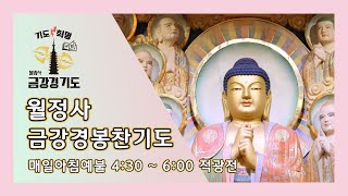 금강경 봉찬 새벽 온라인 기도 | 2025년 2월 17일 월요일 새벽 4:30~6:00