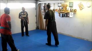 Bujinkan Butoku Dojo training # 172