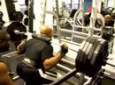 malcolm squat s 500lbs