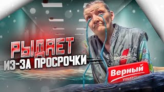 ЦЕНТР ГОРОДА ЗАВАЛИЛО ПРОСРОЧКОЙ| ДИРЕКТОР РЫДАЕТ| ПРОСРОЧКА ПАТРУЛЬ