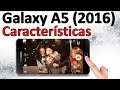 Samsung Galaxy A5 2016 Caracteristicas Y Especificaciones Espanol Samsung Galaxy A5 2016 Caracteristicas Y Especificaciones Espanol