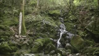 四万十川源流点  ～高知県津野町～  2016 7/23