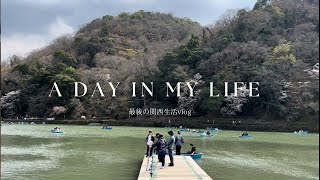 Last vlog before moving due to job transfer😢/Cherry blossom viewing in Arashiyama, Kyoto🌸