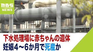 赤ちゃん遺体『生まれたのは３月中旬で死産・へその緒がついた状態』下水処理場で発見（2023年4月7日）