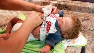 sugar britches nursery ebay