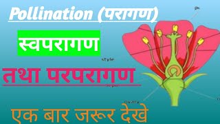 परागण( pollination) स्वपरागण  तथा परपरागण