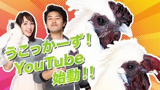 うこっかーず！ YouTubeを始める！