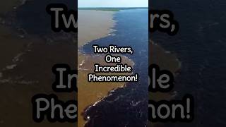 The Incredible Meeting of the Waters – Rio Negro and Solimões 🌊✨