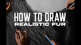 How To Draw Realistic Fur | Step By Step Drawing Tutorial for Beginners