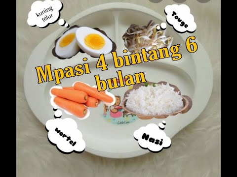 Resep Menu Mpasi 4 Bintang 6 Bulan Pertama - YouTube