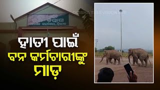 Villagers thrash forest guard over elephant menace in Sundergarh