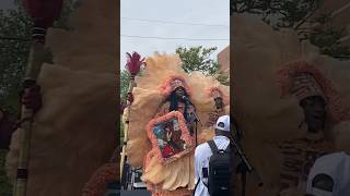 Big Chief-Honey from Cha Wa performing at Uptown Super Sunday 2024 in NOLA! #culture #chawa #indians