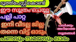 ടൂത്ത് പേസ്റ്റിൽ ഇങ്ങനെ ഒരു രഹസ്യമോ😱ക്ലീനിങ് മുതൽ ഇനി പല്ലി പാറ്റ എല്ലാം പമ്പകടക്കും!#kitchentips