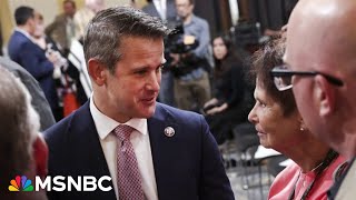 “These are not squishy moderates": Fmr. Republican reacts to Biden picking up Kinzinger endorsement