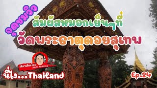 ดอยสุเทพ #วัดพระธาตุดอยสุเทพ #อุทยานแห่งชาตดอยสุเทพ - ปุย #จุดชมวิวดอยสุเทพ #ทางขึ้นดอยสุเทพ