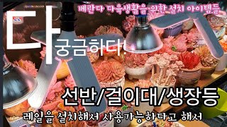 다육이 키우는 베란다 다육맘 필수품인 선반,걸이대 그리고 생장등 구매처 !생장등은 곧 별도 영상을 통해서 자세히 소개할 예정입니다. 써보고 좋아서 추천드리고 싶어서 기획 중입니다