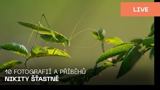 Czech | 10 fotografií a příběhů Nikity Šťastné