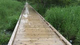 雨の温根内木道