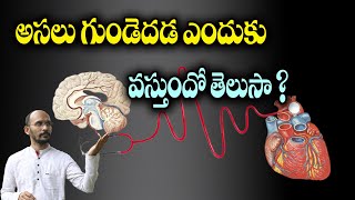 అసలు గుండెదడ ఎందుకు వస్తుందో తెలుసా ? | Dr.Madhu Babu Health Trends