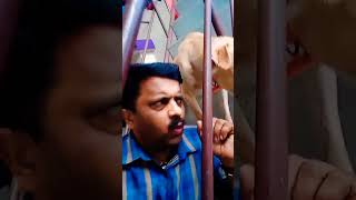 നല്ല മുന്തിയ ഇനം ആണെന്ന് പറ 🤗🤭😜#viralcomedy #funnyjoke #dialouge #seen #shortvideo #instareels 👌🤩😂😋🙏