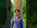 video pagal shilpi raj ft mani merj vannu d great chand jee new ssd song 2023