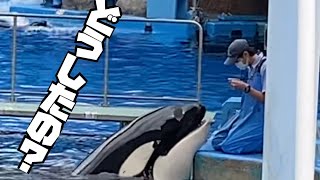 トレーナーさんを心配するアース♡      ＠名古屋港水族館