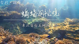 蝙蝠洞祕境-東北角鮮為人知的珊瑚森林｜自由潛水｜書生精選｜攻略｜Vlog106