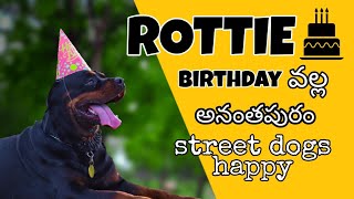 Rottie birthday special | every dog has its day today is rottie's | #charlie #doglover #streetdog