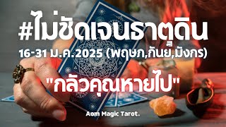 #ไม่ชัดเจนธาตุดิน 16-31ม.ค.2025 \