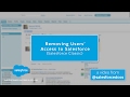 Removing Users Access To Salesforce (Salesforce Classic) | Salesforce