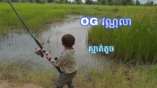 #បបក់ត្រី #og វណ្ណលាស្មាត់តូច