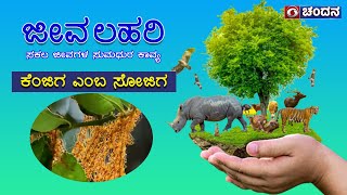 ಜೀವ ಲಹರಿ | weaver Ants | Nature Documentary | DD Chandana