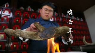 中药炮制  马鹿茸    Processing of traditional Chinese medicine, red deer antler