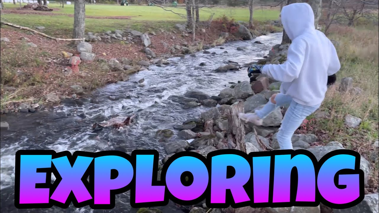 Exploring Youtube