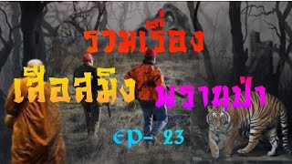 รวมเรื่อง เสือสมิง พรานป่า ep- 23
