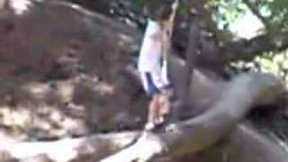 Royal Ct Rope Swing