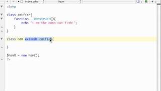 PHP Tutorial - 43 - Inheritance and Constructors