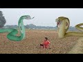 Anaconda in village part-2A || sanke video || saamp wala video || colorful Snakes