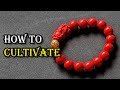 How to Cultivate the Taoist Beads? - Taoist Magic