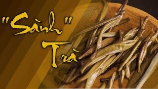 Detailed Guide to Tea Evaluation