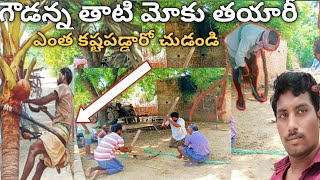 గౌడన్న తాటి మోకు తయారీ|palm tree videos|thati chettu videos|thati chettu moku|village videos