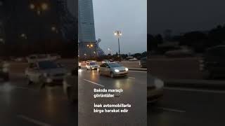 Bakıda maraqlı görüntülər .. İnək avtomobillərlə birgə hərəkət edir