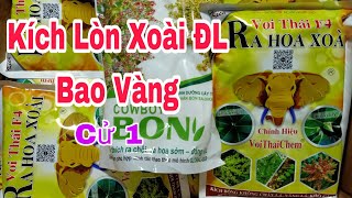 Kích Lòn Xoài ĐL Bao Vàng Cử 1 | VTK.CHANNEL