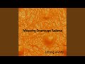 Evening Wind Harmony