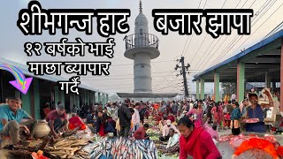 SHIVAGANJ HAT BAZAR JHAPA,१२ बर्षको भाई माछा ब्यापार गर्दै,चाहाना भए नेपाल मै कै गर्न सकीने उदाहारण