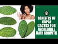 9 Astonishing Nopal Cactus Benefits for Hair #nopales