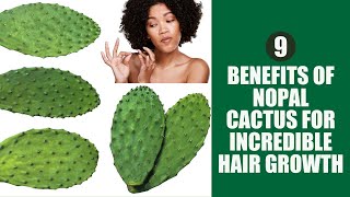 9 Astonishing Nopal Cactus Benefits for Hair #nopales